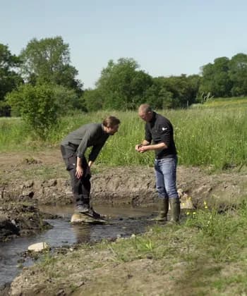 River Restoration Analysis